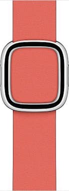 Apple MY602ZM/A smart wearable accessory Grupo de rock R Apple MY602ZM/A smart wearable accessory Grupo de rock R