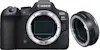 Canon EOS R6 Mark II ( R6II ) + EF-EOS R Premium + PDF M Canon EOS R6 Mark II ( R6II ) + EF-EOS R Premium + PDF M