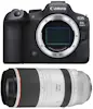Canon EOS R6 Mark II ( R6II ) + RF 100-500mm f/4.5-7.1 L Canon EOS R6 Mark II ( R6II ) + RF 100-500mm f/4.5-7.1 L