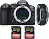 Canon EOS R6 Mark II ( R6II ) + EF-EOS R Premium + 2 San Canon EOS R6 Mark II ( R6II ) + EF-EOS R Premium + 2 San