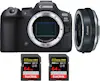 Canon EOS R6 Mark II ( R6II ) + EF-EOS R Premium + 2 San Canon EOS R6 Mark II ( R6II ) + EF-EOS R Premium + 2 San