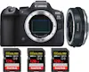 Canon EOS R6 Mark II ( R6II ) + EF-EOS R Premium + 3 San Canon EOS R6 Mark II ( R6II ) + EF-EOS R Premium + 3 San