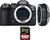 Canon EOS R6 Mark II ( R6II ) + EF-EOS R Premium + 1 San Canon EOS R6 Mark II ( R6II ) + EF-EOS R Premium + 1 San