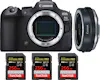 Canon EOS R6 Mark II ( R6II ) + EF-EOS R Premium + 3 San Canon EOS R6 Mark II ( R6II ) + EF-EOS R Premium + 3 San