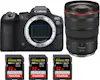 Canon EOS R6 Mark II ( R6II ) + RF 24-70mm f/2.8 L IS US Canon EOS R6 Mark II ( R6II ) + RF 24-70mm f/2.8 L IS US