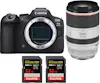 Canon EOS R6 Mark II ( R6II ) + RF 70-200mm f/2.8 L IS U Canon EOS R6 Mark II ( R6II ) + RF 70-200mm f/2.8 L IS U