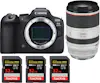 Canon EOS R6 Mark II ( R6II ) + RF 70-200mm f/2.8 L IS U Canon EOS R6 Mark II ( R6II ) + RF 70-200mm f/2.8 L IS U