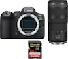 Canon EOS R6 Mark II ( R6II ) + RF 100-400mm f/5.6-8 IS Canon EOS R6 Mark II ( R6II ) + RF 100-400mm f/5.6-8 IS