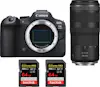 Canon EOS R6 Mark II ( R6II ) + RF 100-400mm f/5.6-8 IS Canon EOS R6 Mark II ( R6II ) + RF 100-400mm f/5.6-8 IS