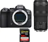 Canon EOS R6 Mark II ( R6II ) + RF 100-400mm f/5.6-8 IS Canon EOS R6 Mark II ( R6II ) + RF 100-400mm f/5.6-8 IS