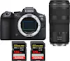Canon EOS R6 Mark II ( R6II ) + RF 100-400mm f/5.6-8 IS Canon EOS R6 Mark II ( R6II ) + RF 100-400mm f/5.6-8 IS