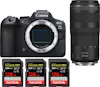 Canon EOS R6 Mark II ( R6II ) + RF 100-400mm f/5.6-8 IS Canon EOS R6 Mark II ( R6II ) + RF 100-400mm f/5.6-8 IS