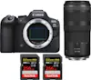 Canon EOS R6 Mark II ( R6II ) + RF 100-400mm f/5.6-8 IS Canon EOS R6 Mark II ( R6II ) + RF 100-400mm f/5.6-8 IS