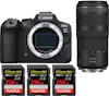 Canon EOS R6 Mark II ( R6II ) + RF 100-400mm f/5.6-8 IS Canon EOS R6 Mark II ( R6II ) + RF 100-400mm f/5.6-8 IS