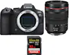 Canon EOS R6 Mark II ( R6II ) + RF 24-105mm f/4 L IS USM Canon EOS R6 Mark II ( R6II ) + RF 24-105mm f/4 L IS USM