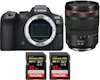 Canon EOS R6 Mark II ( R6II ) + RF 24-105mm f/4 L IS USM Canon EOS R6 Mark II ( R6II ) + RF 24-105mm f/4 L IS USM