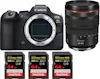 Canon EOS R6 Mark II ( R6II ) + RF 24-105mm f/4 L IS USM Canon EOS R6 Mark II ( R6II ) + RF 24-105mm f/4 L IS USM