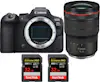 Canon EOS R6 Mark II ( R6II ) + RF 15-35mm f/2.8 L IS US Canon EOS R6 Mark II ( R6II ) + RF 15-35mm f/2.8 L IS US