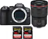 Canon EOS R6 Mark II ( R6II ) + RF 15-35mm f/2.8 L IS US Canon EOS R6 Mark II ( R6II ) + RF 15-35mm f/2.8 L IS US