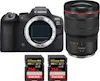 Canon EOS R6 Mark II ( R6II ) + RF 15-35mm f/2.8 L IS US Canon EOS R6 Mark II ( R6II ) + RF 15-35mm f/2.8 L IS US