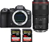Canon EOS R6 Mark II ( R6II ) + RF 100mm f/2.8 L Macro I Canon EOS R6 Mark II ( R6II ) + RF 100mm f/2.8 L Macro I