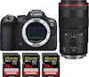 Canon EOS R6 Mark II ( R6II ) + RF 100mm f/2.8 L Macro I Canon EOS R6 Mark II ( R6II ) + RF 100mm f/2.8 L Macro I