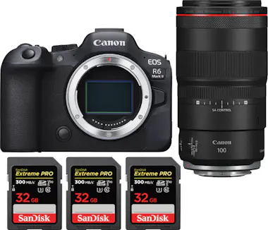 Canon EOS R6 Mark II ( R6II ) + RF 100mm f/2.8 L Macro I Canon EOS R6 Mark II ( R6II ) + RF 100mm f/2.8 L Macro I