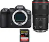 Canon EOS R6 Mark II ( R6II ) + RF 100mm f/2.8 L Macro I Canon EOS R6 Mark II ( R6II ) + RF 100mm f/2.8 L Macro I