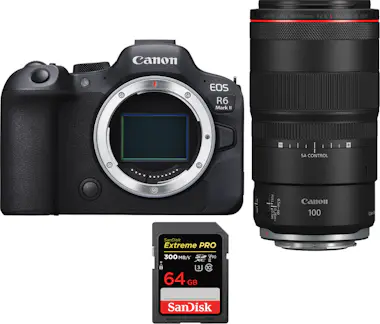 Canon EOS R6 Mark II ( R6II ) + RF 100mm f/2.8 L Macro I Canon EOS R6 Mark II ( R6II ) + RF 100mm f/2.8 L Macro I