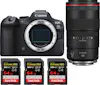 Canon EOS R6 Mark II ( R6II ) + RF 100mm f/2.8 L Macro I Canon EOS R6 Mark II ( R6II ) + RF 100mm f/2.8 L Macro I