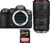 Canon EOS R6 Mark II ( R6II ) + RF 100mm f/2.8 L Macro I Canon EOS R6 Mark II ( R6II ) + RF 100mm f/2.8 L Macro I