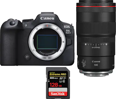 Canon EOS R6 Mark II ( R6II ) + RF 100mm f/2.8 L Macro I Canon EOS R6 Mark II ( R6II ) + RF 100mm f/2.8 L Macro I