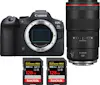 Canon EOS R6 Mark II ( R6II ) + RF 100mm f/2.8 L Macro I Canon EOS R6 Mark II ( R6II ) + RF 100mm f/2.8 L Macro I