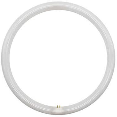 Otros Tubo LED 32W T9 Circular 6500K Otros Tubo LED 32W T9 Circular 6500K