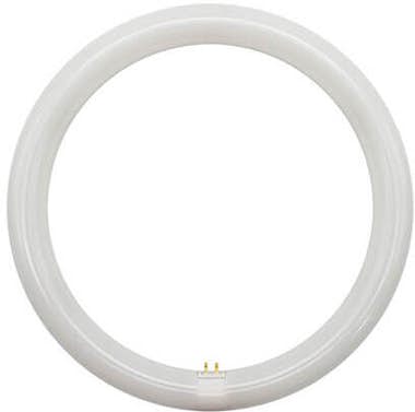 Otros Tubo LED Circular 20W T9 6500K Otros Tubo LED Circular 20W T9 6500K