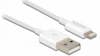 Delock DeLOCK 83000 cable de conector Lightning 1 m Blanc Delock DeLOCK 83000 cable de conector Lightning 1 m Blanc