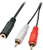 Lindy Lindy 35677 cable de audio 0,25 m 2 x RCA 3,5mm Ne Lindy Lindy 35677 cable de audio 0,25 m 2 x RCA 3,5mm Ne