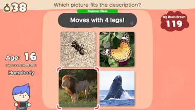 Nintendo Nintendo Big Brain Academy: Brain vs. Brain Estánd Nintendo Nintendo Big Brain Academy: Brain vs. Brain Estánd