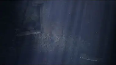 Just for Games Bramble El Rey de la Montaña Juego Nintendo Switch Just for Games Bramble El Rey de la Montaña Juego Nintendo Switch