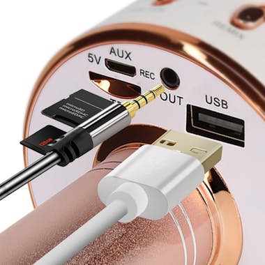 Avizar Micro karaoke Altavoz integrado Rosa dorado Avizar Micro karaoke Altavoz integrado Rosa dorado