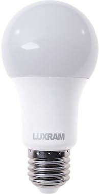 Otros Bombilla E27 (gruesa) GLS (estándar) VALOR LED 13W Otros Bombilla E27 (gruesa) GLS (estándar) VALOR LED 13W