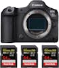 Canon EOS R5 Mark II + 3 SanDisk 64GB Extreme PRO UHS-II Canon EOS R5 Mark II + 3 SanDisk 64GB Extreme PRO UHS-II