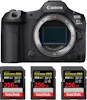 Canon EOS R5 Mark II + 3 SanDisk 256GB Extreme PRO UHS-I Canon EOS R5 Mark II + 3 SanDisk 256GB Extreme PRO UHS-I