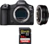 Canon EOS R5 Mark II + EF-EOS R + 1 SanDisk 64GB Extreme Canon EOS R5 Mark II + EF-EOS R + 1 SanDisk 64GB Extreme