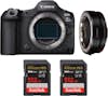 Canon EOS R5 Mark II + EF-EOS R + 2 SanDisk 512GB Extrem Canon EOS R5 Mark II + EF-EOS R + 2 SanDisk 512GB Extrem