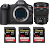 Canon EOS R5 Mark II + RF 24-105mm f/4 L IS USM + 3 SanD Canon EOS R5 Mark II + RF 24-105mm f/4 L IS USM + 3 SanD