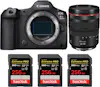 Canon EOS R5 Mark II + RF 24-105mm f/4 L IS USM + 3 SanD Canon EOS R5 Mark II + RF 24-105mm f/4 L IS USM + 3 SanD