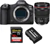 Canon EOS R5 Mark II + RF 24-105mm f/4 L IS USM + 1 SanD Canon EOS R5 Mark II + RF 24-105mm f/4 L IS USM + 1 SanD