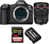 Canon EOS R5 Mark II + RF 24-105mm f/4 L IS USM + 1 SanD Canon EOS R5 Mark II + RF 24-105mm f/4 L IS USM + 1 SanD