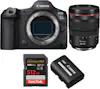 Canon EOS R5 Mark II + RF 24-105mm f/4 L IS USM + 1 SanD Canon EOS R5 Mark II + RF 24-105mm f/4 L IS USM + 1 SanD